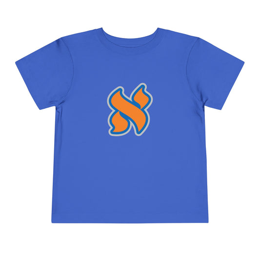 Playful Toddler Tee, Kids Graphic Shirt, Fun Short Sleeve Top, Birthday Gift, Everyday Wear, Toddler Clothing